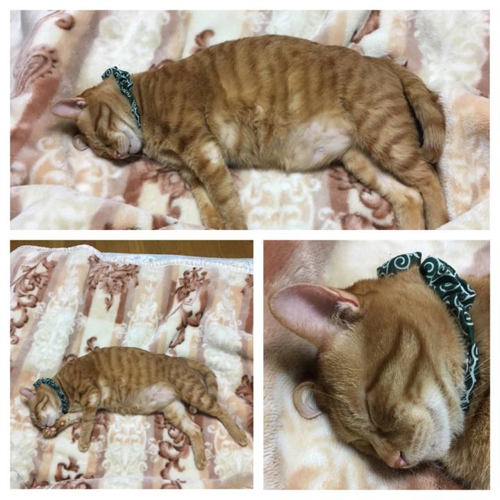 E84897c3 6bb0 44bc b209 a4927c86af49 1550931106347