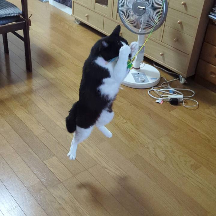 E848d1de e1df 48aa 8d7e c27d21933a73 1747979769793