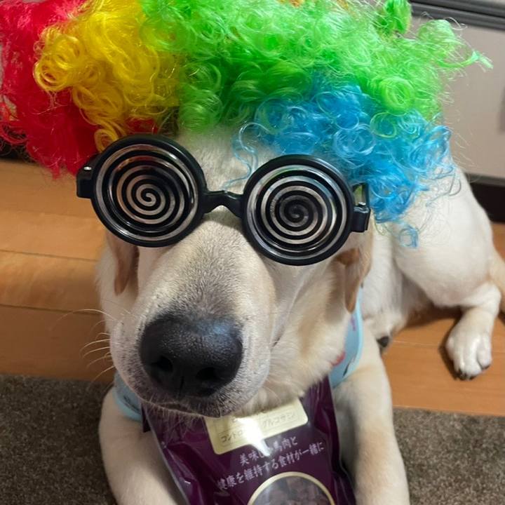 E848e035 c029 476a aad6 0df65b515705 1635645185286