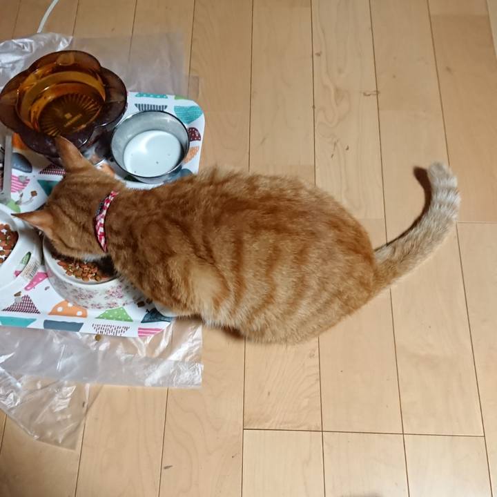 E848f509 eea4 45fc af37 71aa53ab6542 1598299459966