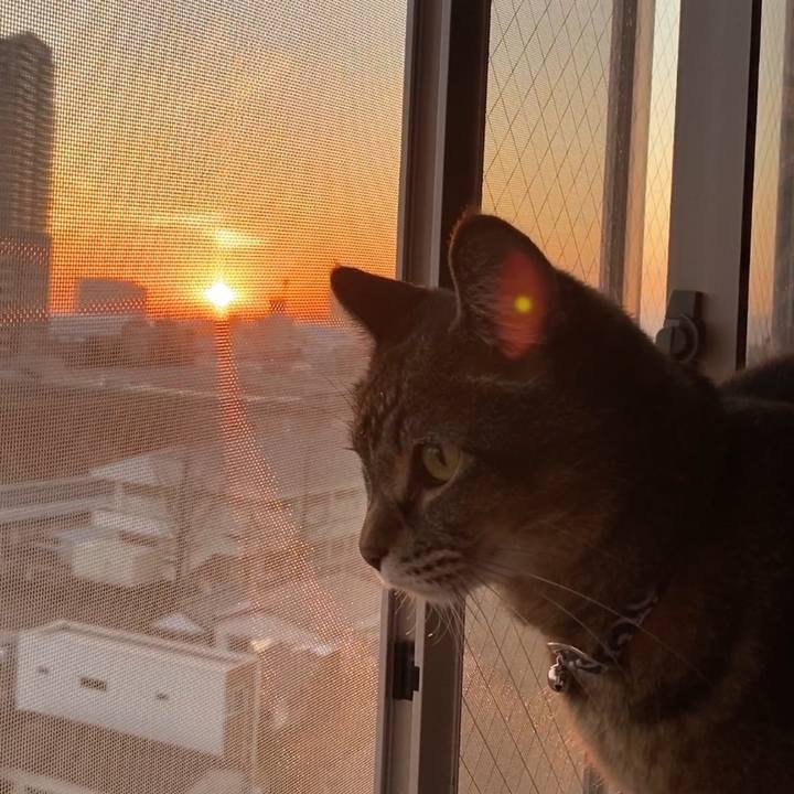 E8490ca2 a1aa 4add baf9 e24af2206e28 1633523941382