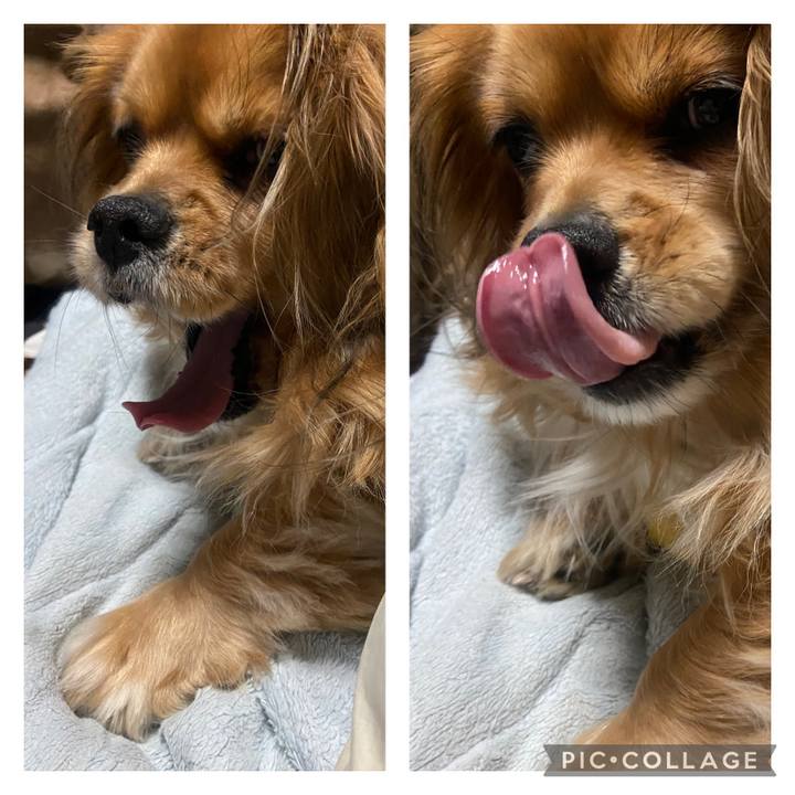 E8490d1b b672 432c 9fab ff164be5ff24 1644873948714