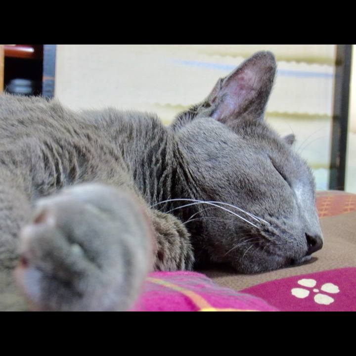 E8493899 9c5a 4470 a70d dce2d438c621 1518530288063