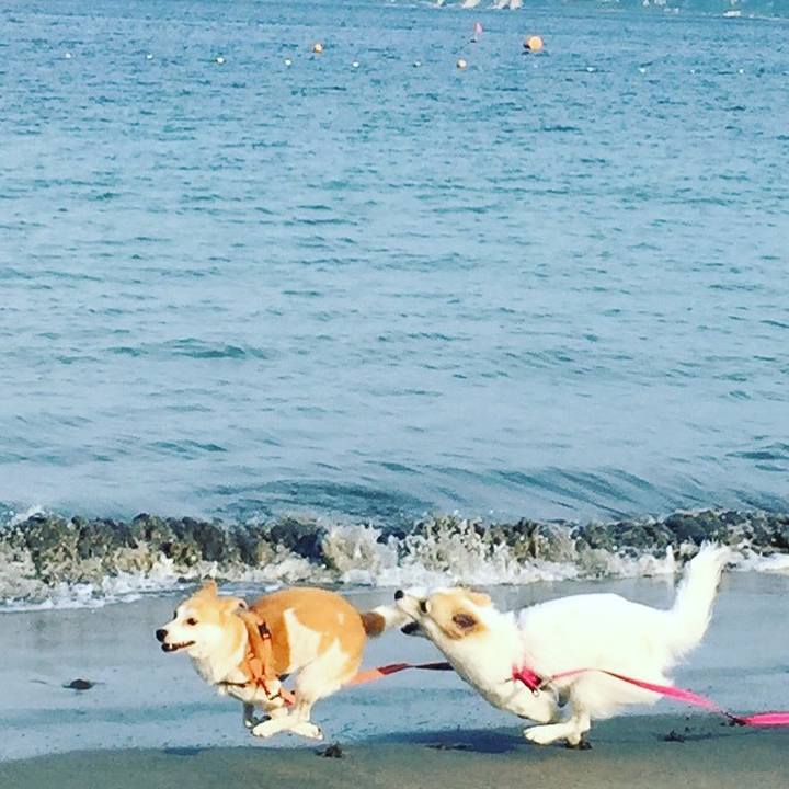 E8494827 b560 411f 90f9 851147a0bbe3 1511870879820