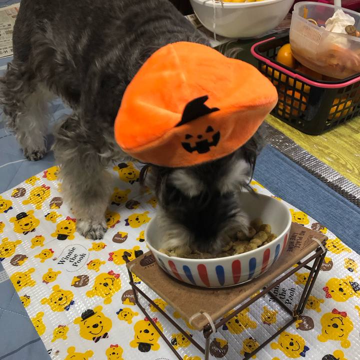 E8496678 4804 4d0c abfa aa59a35f5bc4 1698450394161