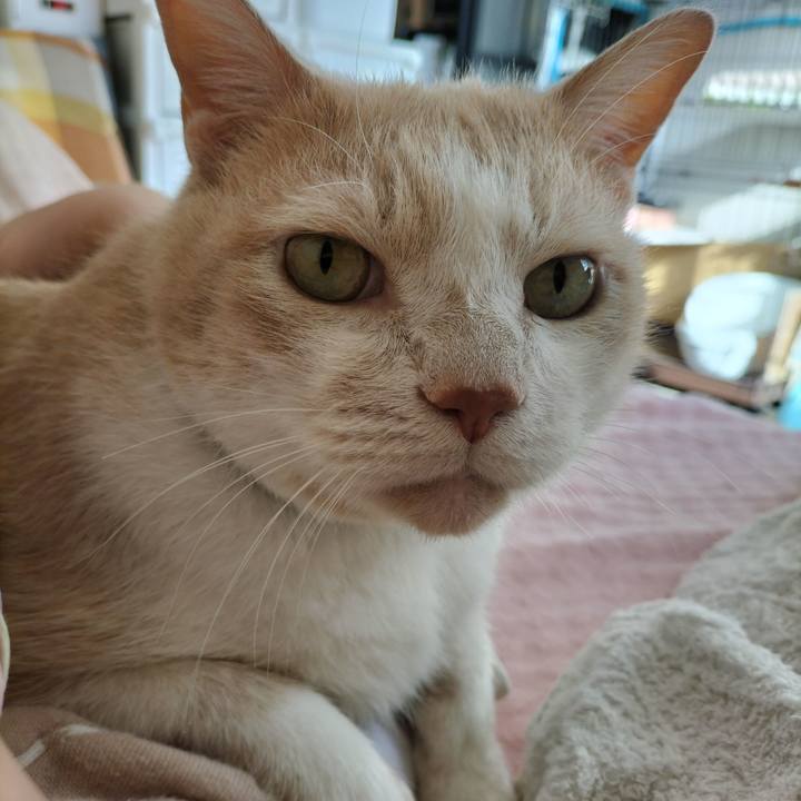 E849ea52 e2c7 4a48 9568 d77b8575f6d8 1634342990352