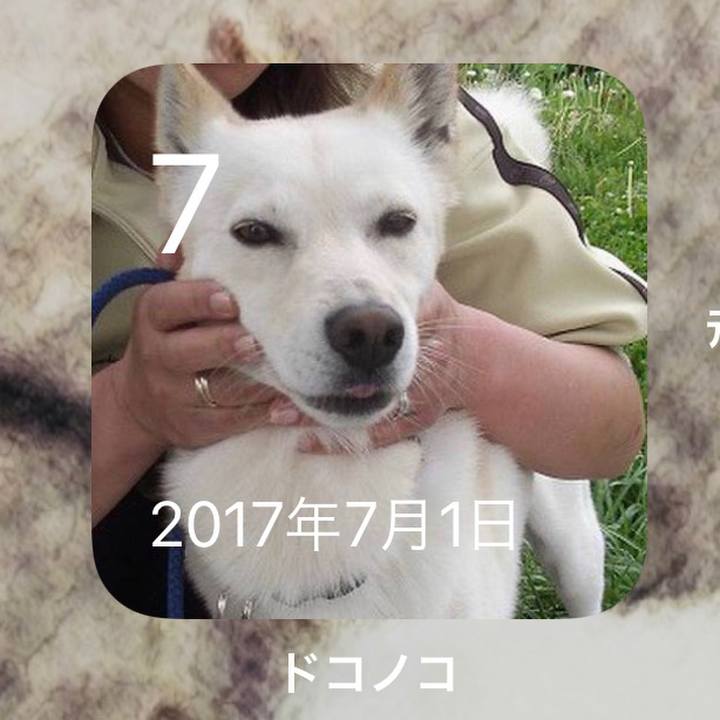 E84a0d24 fb57 432b 88e2 0a8fb010d711 1625640358823