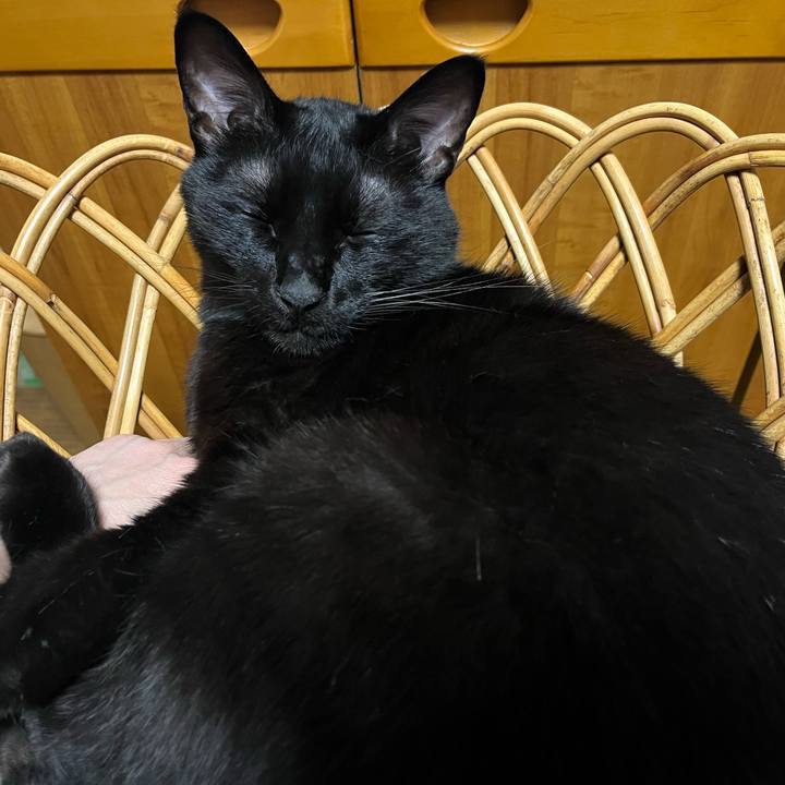 E84a0d5a 595b 4d94 a07f 6b65b66c67be 1725028236229