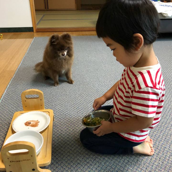 E84a4c8f acb8 48c5 96fa 2c7fb1efd5f3 1533851546904