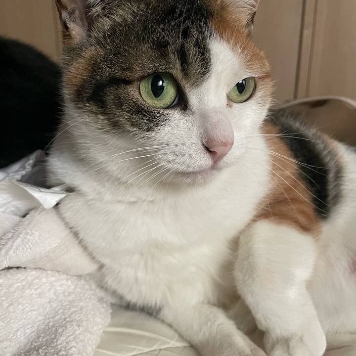 E84a5736 42e4 48aa a601 0e31f12f8cee 1648366607586