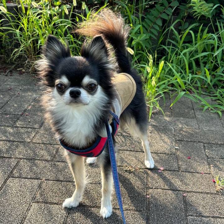 E84a6ffe 116f 4474 81e4 0aa2ea150df8 1722700861065