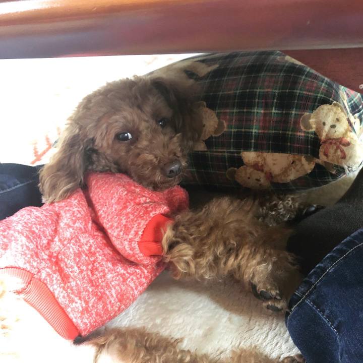 E84a744f 311e 4abb 9971 89ed528c36ad 1574334898870