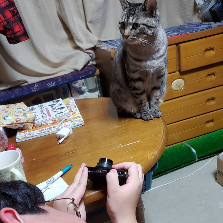 E84a8672 5282 4bcd 9e04 45f1912f7f74 1705891272177