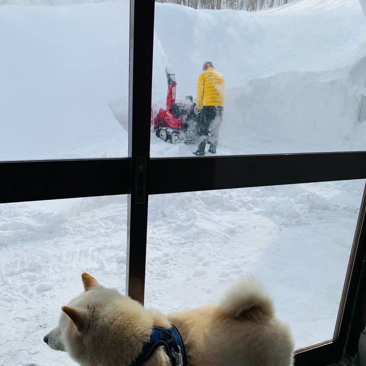 E84aa88c 5b87 43f9 a5a4 b7bca81729bf 1645676907147