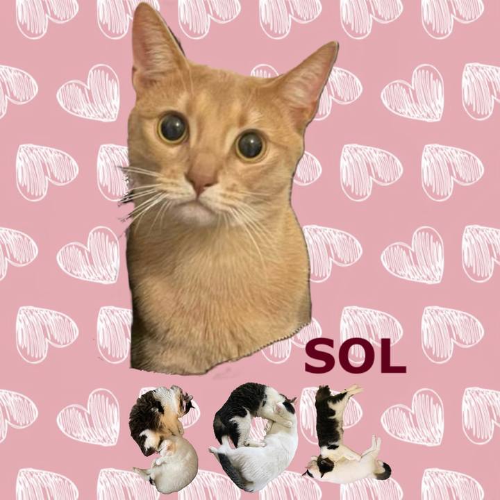 E84aade2 aed7 48f3 863d 53c664758398 1668663194119