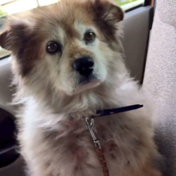 E84abc16 0f71 4b3e 9b8d eef81bd1c1f4 1579927715220