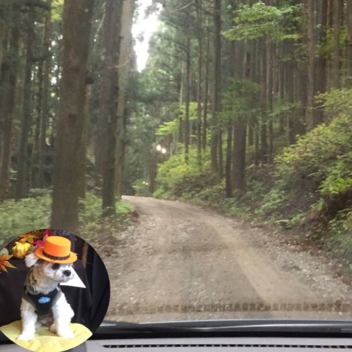 E84ac773 18bd 4ab2 acd0 4104975b79b9 1510138464904