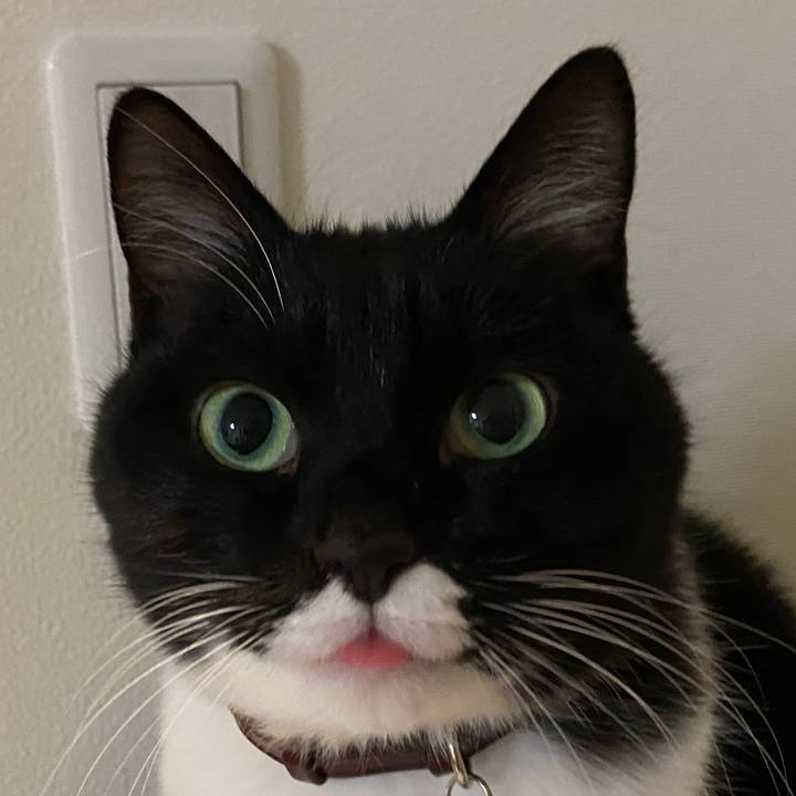 E84b4478 14dc 40a8 a859 7eaf331c3215 1637852599675