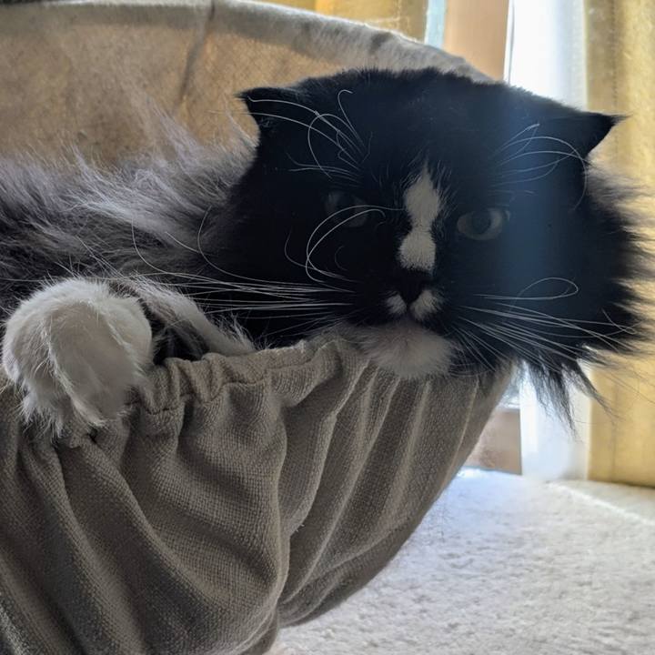 E84b51f1 cc68 4ab9 a0cd de7a05bb69fb 1763710194193