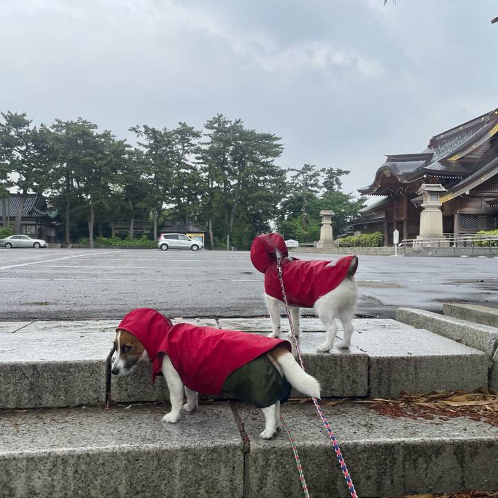 E84bc1e3 f241 41ad 9799 34826c1beae5 1750979108048