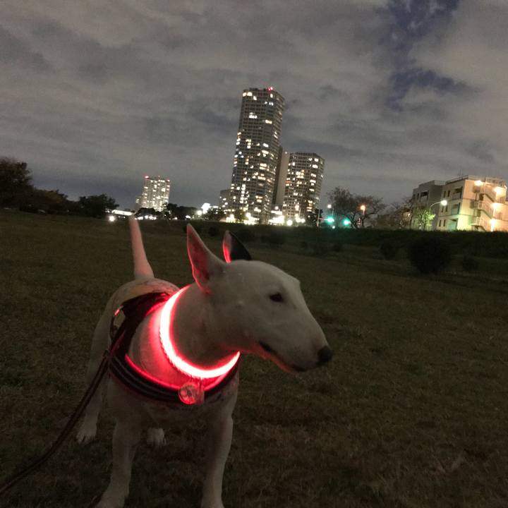 E84c0545 3b6a 4718 8ca0 f2d672c943b9 1510226139083