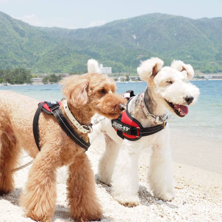 E84c05a0 4d43 4c47 b782 92b3968b0d25 1557178121585