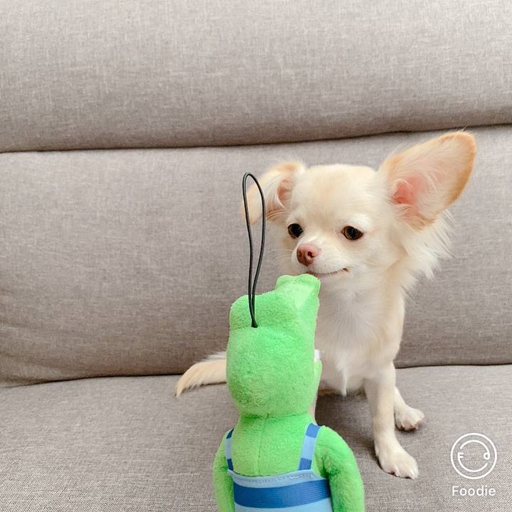 E84c0dae b0d2 4599 a2c9 b230bbb63392 1603433448181