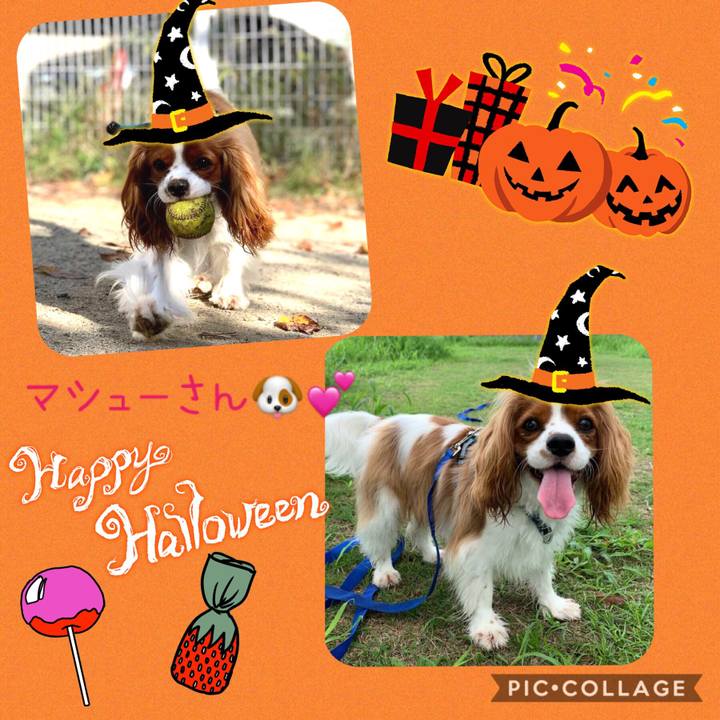 E84c34b3 4b40 44da aa51 46ed0f9f3ca9 1572267279164