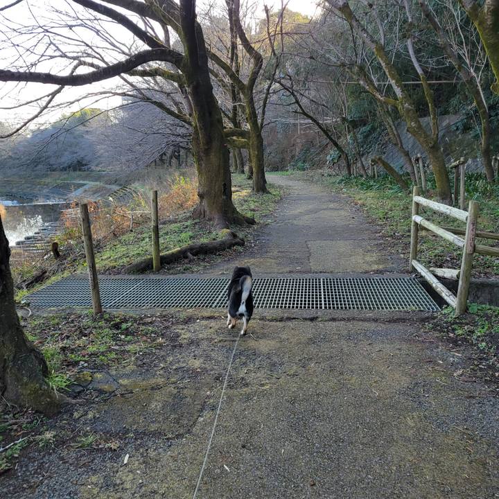 E84c406b 672a 4d2c 908b 4a4727ab18d9 1768693791317