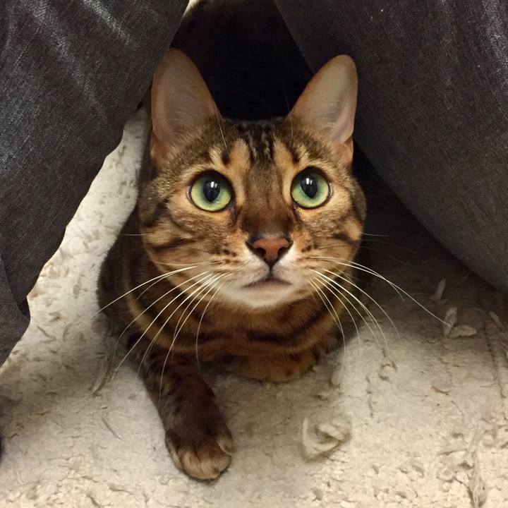 E84c5643 9846 4e3e b5e9 5f4853997e82 1510263823664