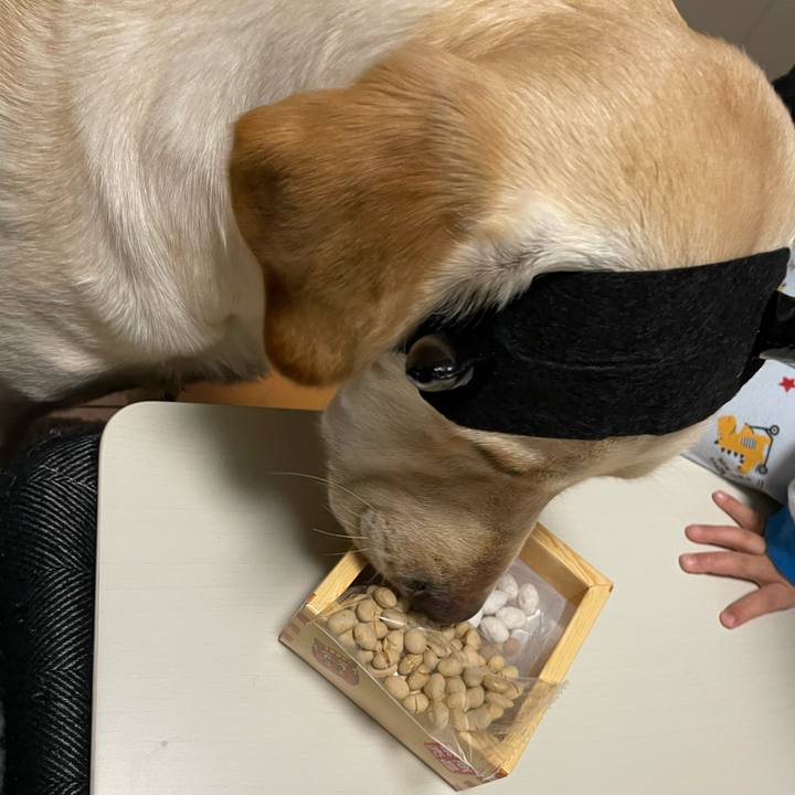 E84c6a7f 7205 43db 9706 88f0945b1508 1643893483211