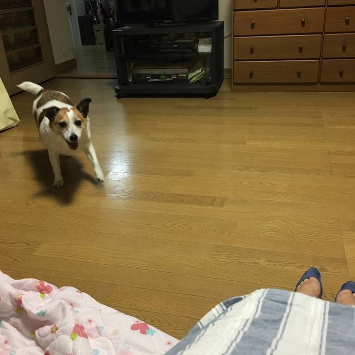 E84c75af 49c8 4523 830f 9c9f5adfe76d 1507816266889