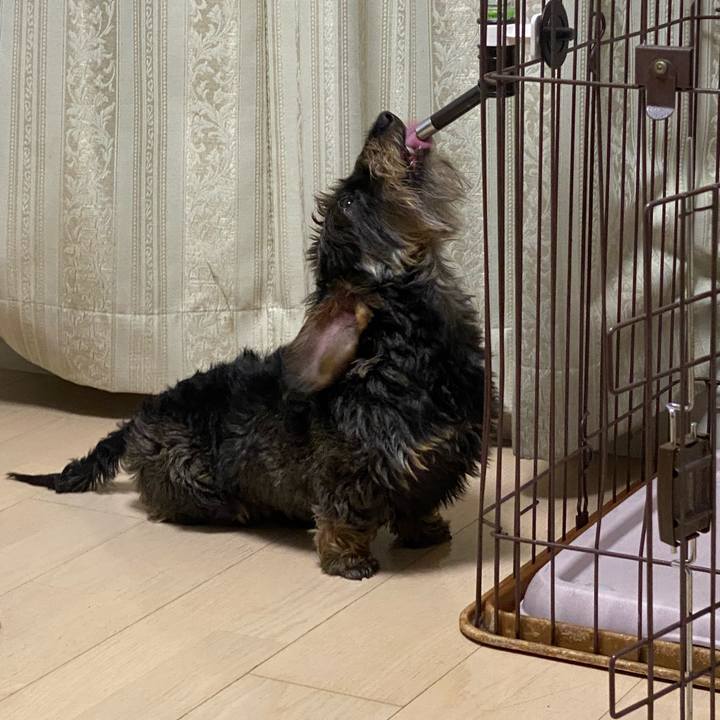 E84c778d eff2 4300 aec4 c29d82089e75 1625397643561