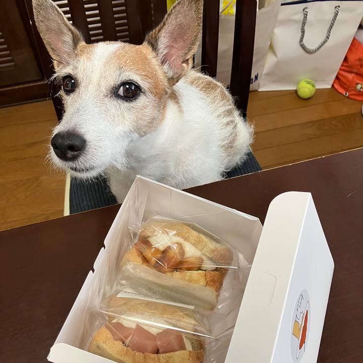 E84cc691 286b 4afd a470 056c909918a6 1724544367527