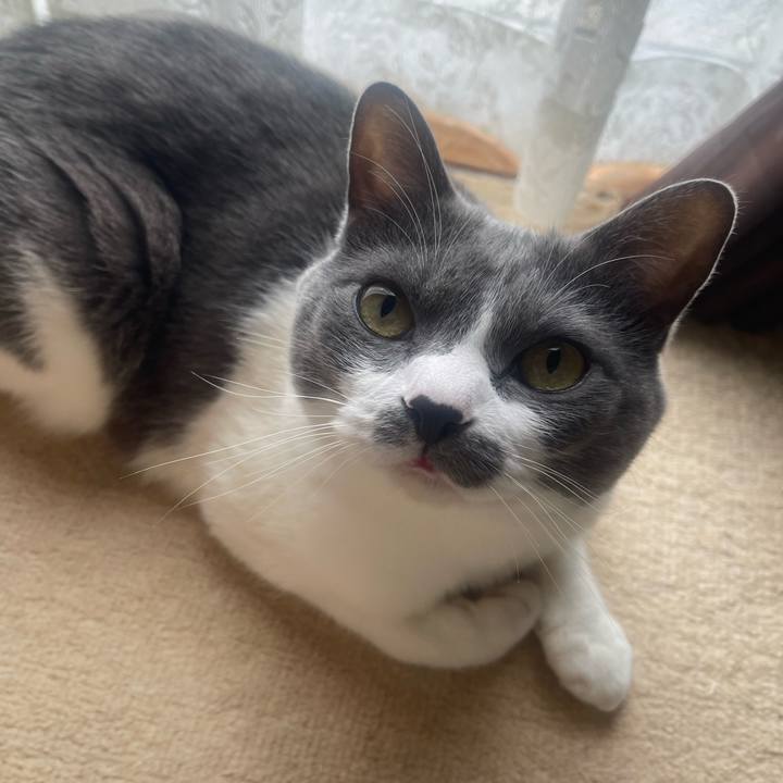 E84cd165 a53b 46ee 8488 cf30738b8f23 1749428792907