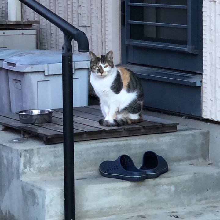 E84ce099 dae0 4a1b 81bf afe861a390c9 1695681592409