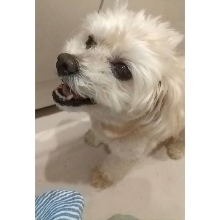 E84ce8fc 2f4d 4a12 900f 7e3c00c5fabd 1683218585946