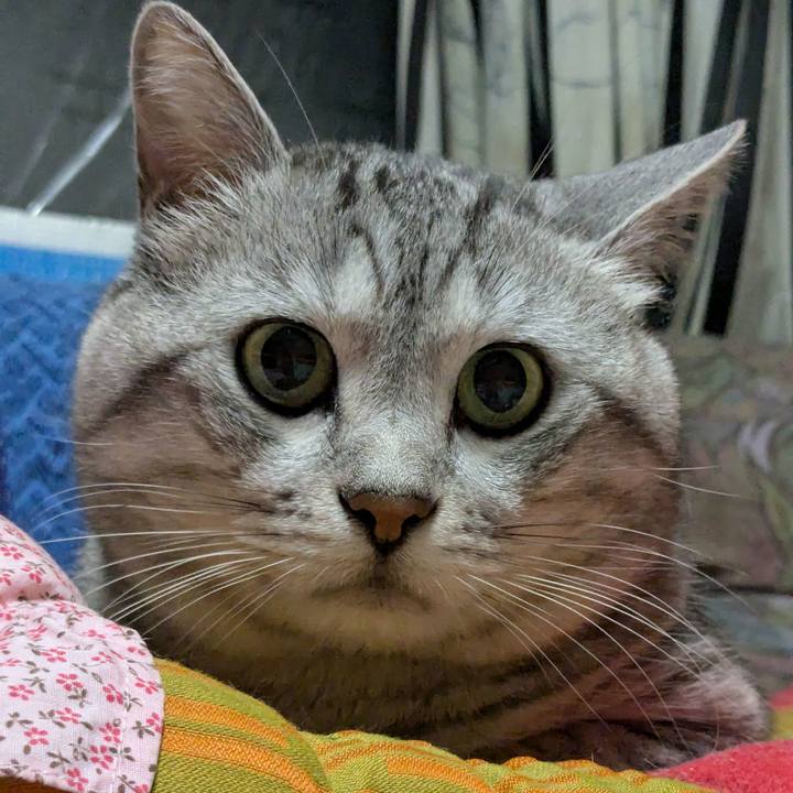 E84cea07 2ca1 42d8 bdc2 2bfd9057df0d 1727793904341