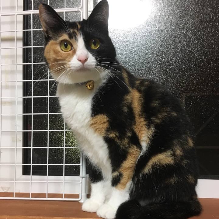 E84d19d5 b521 4eeb bcec 21ea738c9f28 1508684560230