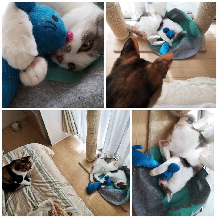 E84d1bdf 0a27 400b 97c1 4cc9cb063e0e 1615104983925