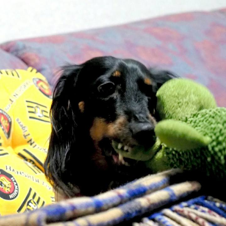 E84d45a4 67b0 40dd bb0e 1c56e679bfb0 1535596102143