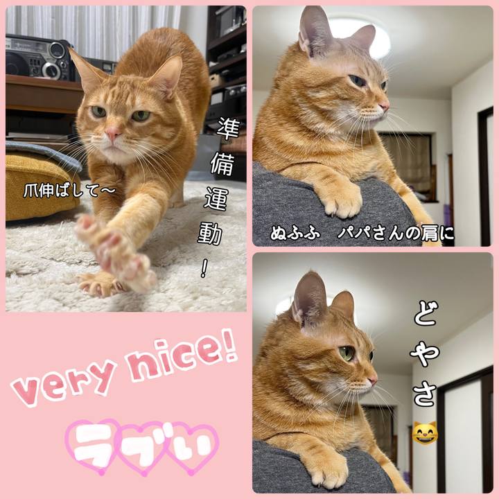 E84d5d12 2e8e 4acf b5e9 79a3083f8893 1676457244009