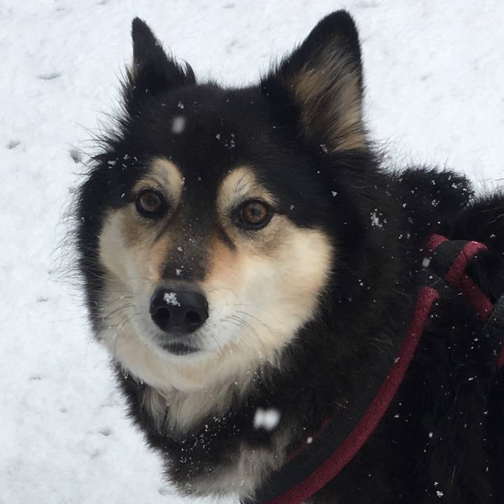 E84dd712 db1c 44a5 a8b0 0e55d8b0dd1d 1517539978296