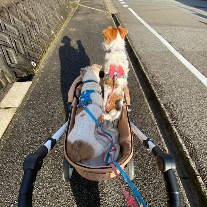 E84ded86 619a 4f46 a0bc 8341a7118cf5 1717370476209