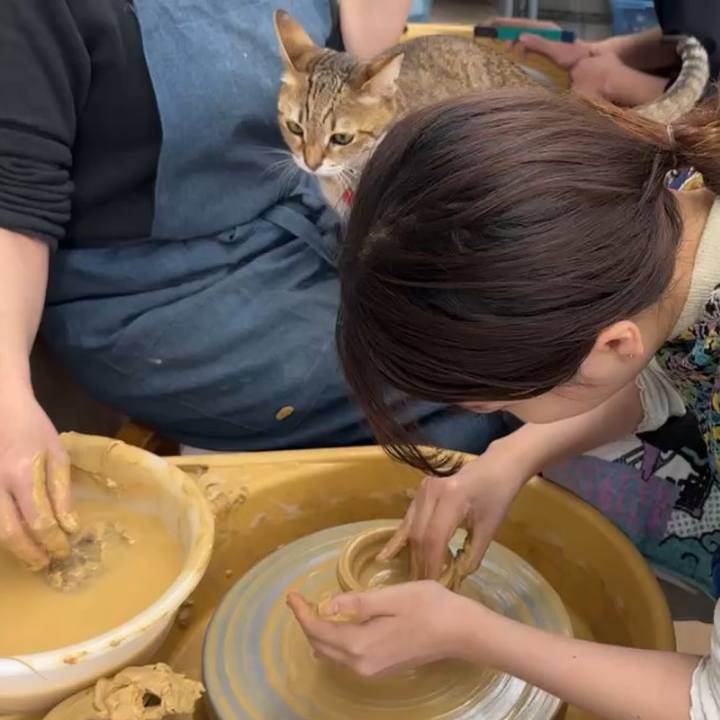 E84e0751 193c 47e2 b8a5 880590093d8d 1744704714493