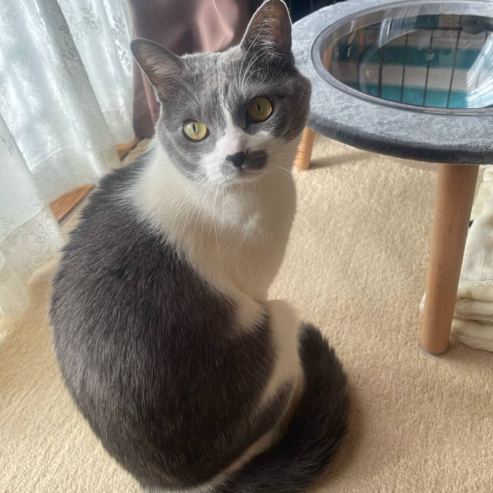 E84e1a7d 5389 4368 becb cbd3d73b8696 1738109923748