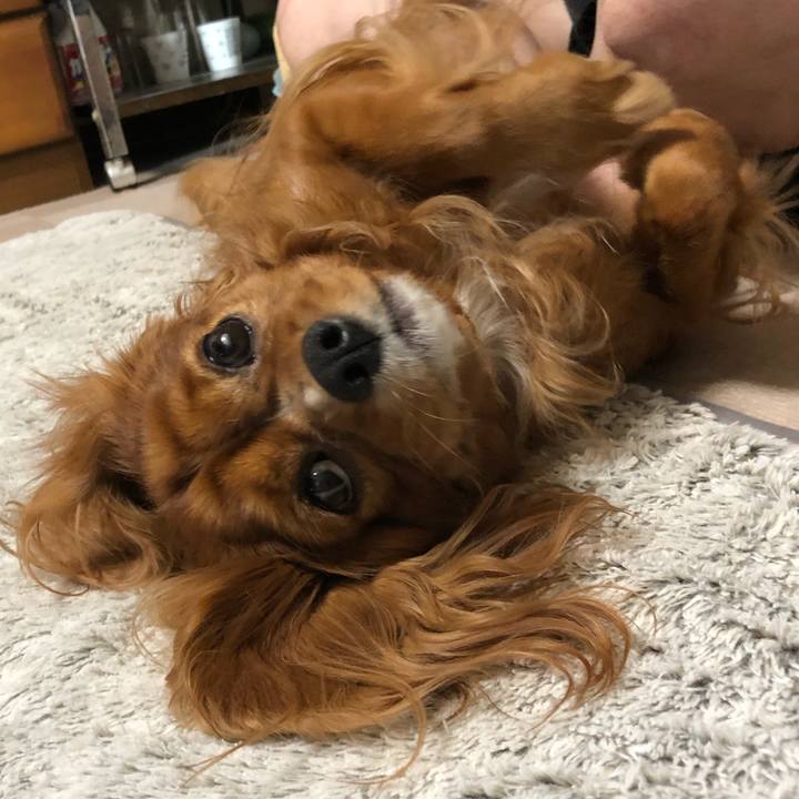 E84e1c7d d6fb 476b 8589 441c58fb1680 1602800915769