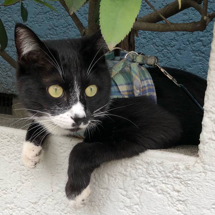 E84e45e9 82b8 4b12 9d23 98c1aec0b8eb 1526528772455