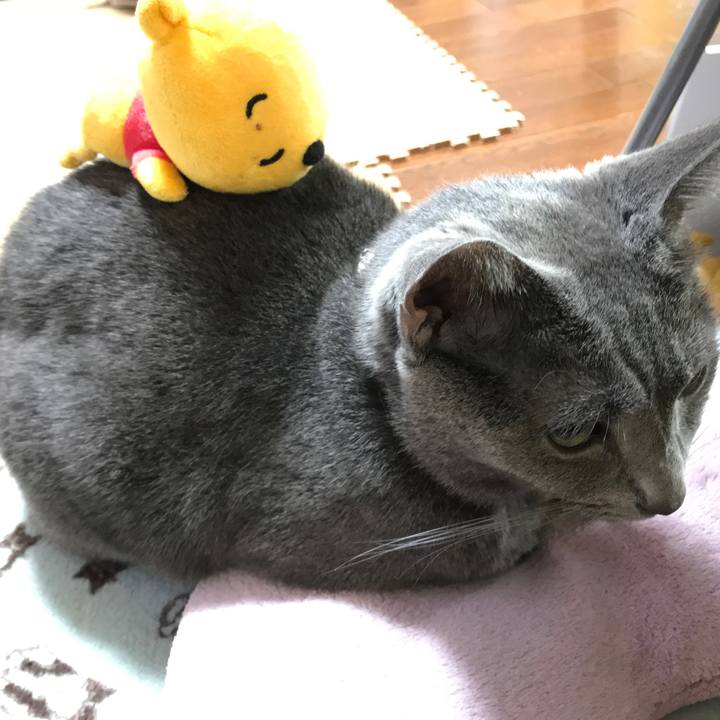 E84e61e9 cc76 4305 a3b4 bf97c4fc0db9 1510181166959