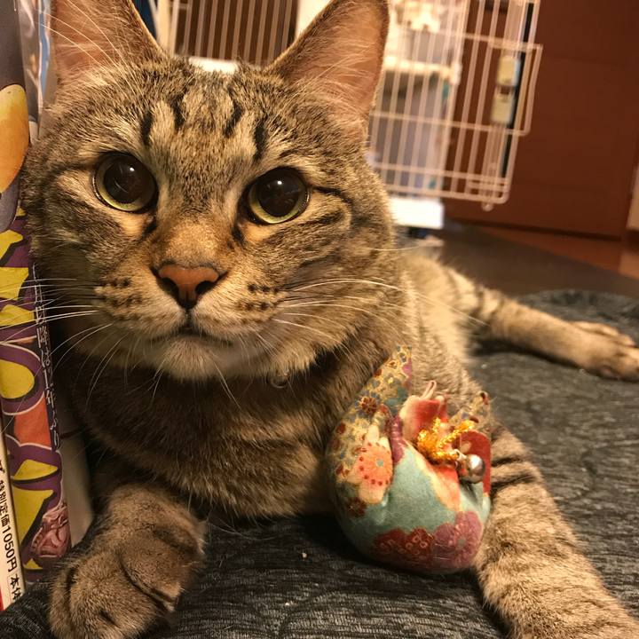 E84e6ea9 cd98 4599 92ec a9b57ab4f278 1528644470242